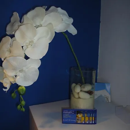 Travel And Living Guest house 3*